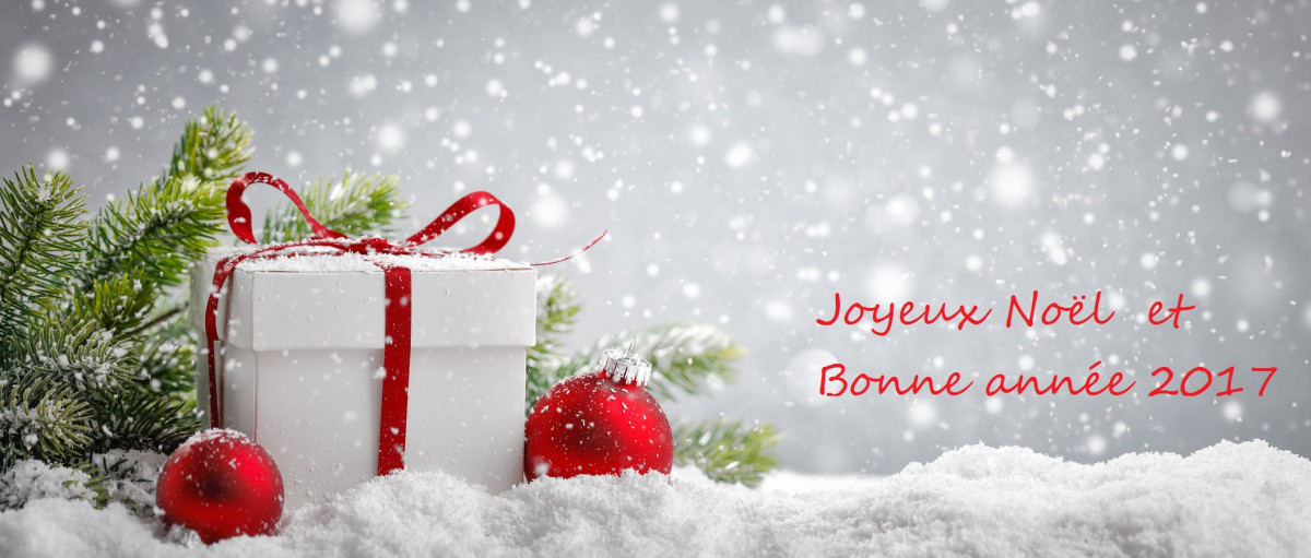 Joyeux noël et bonne année 2017! Notre expérience en MicroImmunothérapie